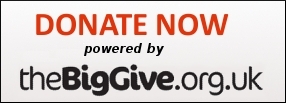 Donate Now link button